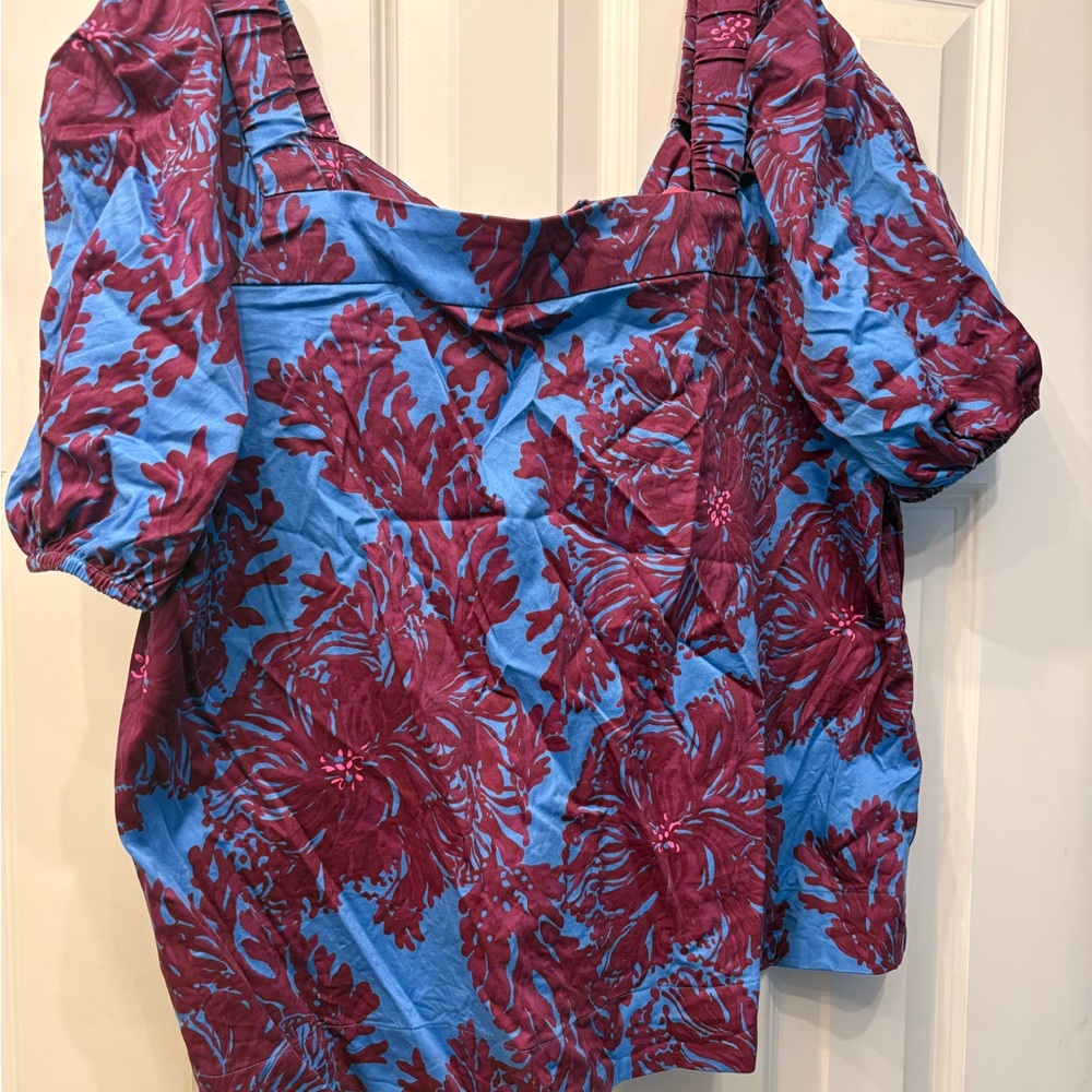 Blue and Burgundy Women's Top